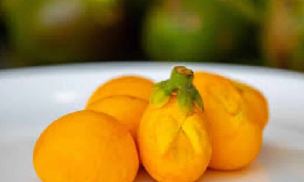 Do Pequi à Galinha Caipira Sabores Inconfundíveis do Jalapão