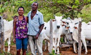 Como o Jalapão se Tornou um Pólo Cultural no Cerrado Brasileiro