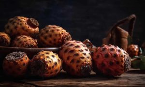 Culinária do Cerrado Delícias e Ingredientes Tradicionais do Jalapão