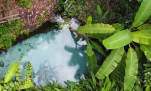 Parque Estadual do Jalapão Celebra 24 Anos