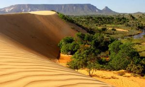 De Fervedouros a Dunas Como a Geografia do Jalapão Encanta os Visitantes