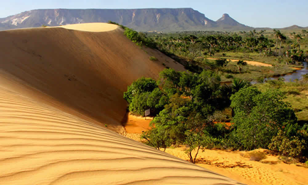 De Fervedouros a Dunas Como a Geografia do Jalapão Encanta os Visitantes