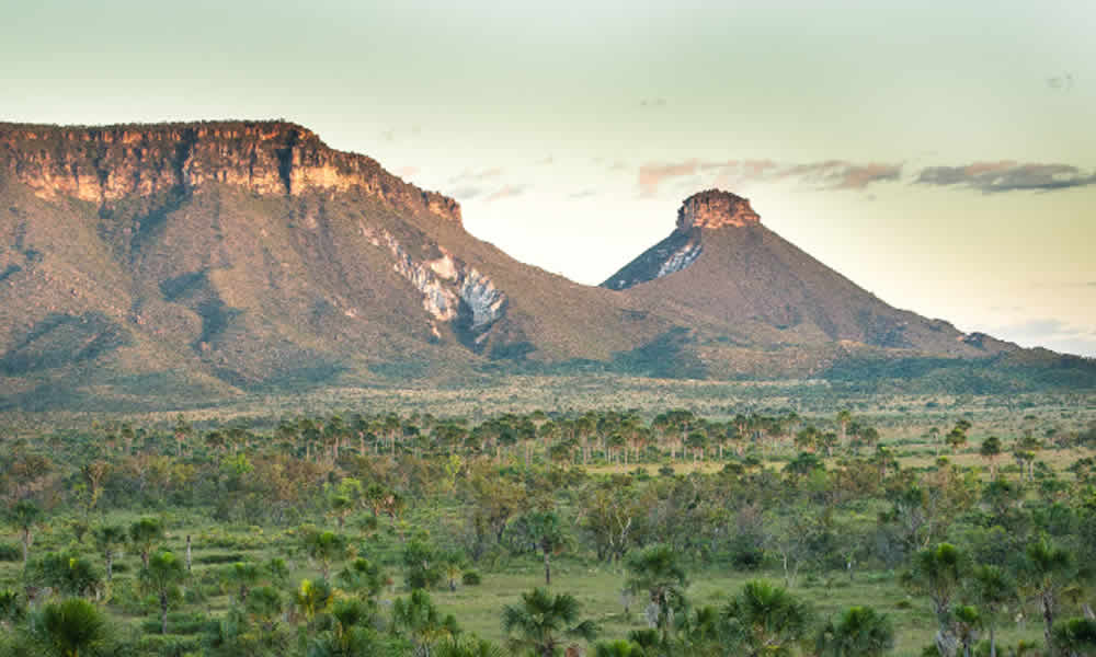 Jalapão O Deserto do Cerrado e Suas Paisagens Impecáveis