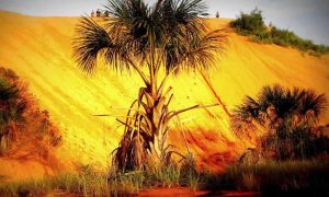 Jalapão Onde o Cerrado Abraça a Beleza Natural de Cada Paisagem
