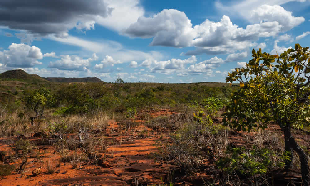 Jalapão Uma Jornada Pelo Cerrado Que Se Transforma a Cada Passo