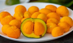 Jalapão no Prato Os Pratos Mais Icônicos Para Provar na Região