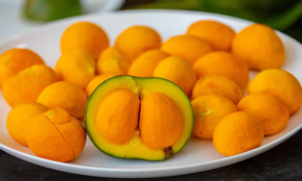 Jalapão no Prato Os Pratos Mais Icônicos Para Provar na Região