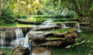 Estância Mimosa em Bonito