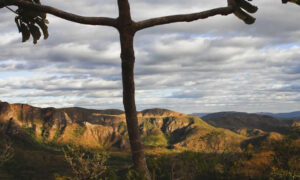 Melhor época para ir à Chapada dos Veadeiros