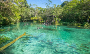 Nascente Azul (flutuação)