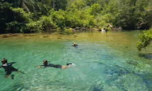 Rio da Prata (flutuação)